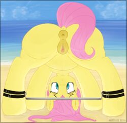 2016 animal_genitalia animal_pussy anus ass beach equine equine_pussy female feral fluttershy_(mlp) friendship_is_magic mammal mittsies my_little_pony outside pegasus pussy seaside solo wings