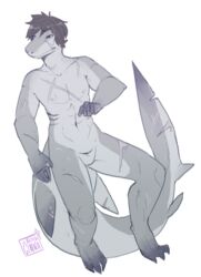 1boy animal_genitalia anthro fish genital_slit half-closed_eyes male male_only marine navel nipples nude scar shark simple_background slit solo sorimori white_background