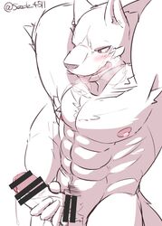 abs blush canine erection grope handjob hi_res male mammal monochrome muscular nipples pecs penis precum seecle_4511 simple_background tongue tongue_out vein white_background yaoi