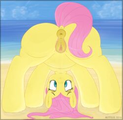 2016 animal_genitalia animal_pussy anus ass beach equine equine_pussy female feral fluttershy_(mlp) friendship_is_magic mammal mittsies my_little_pony outside pegasus pubes pussy seaside solo wings