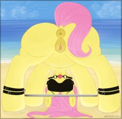 2016 animal_genitalia animal_pussy anus ass ball_gag beach blindfold equine equine_pussy female feral fluttershy_(mlp) friendship_is_magic gag mammal mittsies my_little_pony outside pegasus pussy seaside solo wings