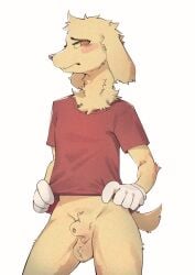 scratch (tadc) from glitch productions by kanto05