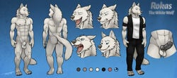 1boy abs absurd_res anatomically_correct anatomically_correct_penis animal_genitalia animal_penis anthro balls biceps canine canine_penis fur hi_res knot male male_only mammal model_sheet muscular nipples nude pattern_background pecs penis rokas sheath simple_background solo standing tsaiwolf white_fur wolf