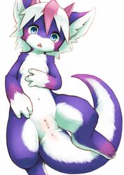 3_fingers 3_toes anus blue_eyes blush dragon female flat_chested fur furred_dragon hair hi_res horn inner_ear_fluff kemoisumi kemono looking_at_viewer multicolored_fur multicolored_hair navel nipples open_mouth pink_fur pink_hair pink_nose purple_fur pussy semi-anthro simple_background solo toes two_tone_fur two_tone_hair white_background white_fur white_hair