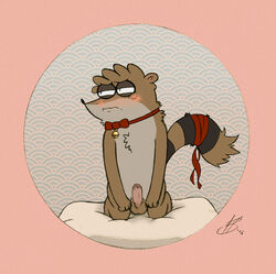 1boy anthro balls blush cartoon_network erection foreskin hi_res humanoid_penis male male_only mammal partially_retracted_foreskin penis raccoon regular_show rigby solo sweaciabic uncut