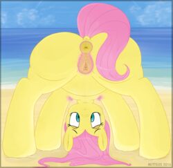 2016 animal_genitalia animal_pussy anus ass beach equine equine_pussy female feral fluttershy_(mlp) friendship_is_magic mammal mittsies my_little_pony outside pegasus pubes pussy seaside solo wings