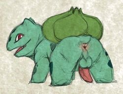 1boy anus ass balls bulbasaur erection flat_colors looking_back male male_only nintendo penis pokémon_(species) pokemon pokemon_rgby presenting python13rp sketch solo video_games yaroul