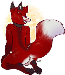 4_toes anus ass backsack balls black_fur canine collar ear_piercing fox fur kneeling looking_back maim male mammal pawpads paws piercing red_eyes red_fur simple_background solo toes white_fur