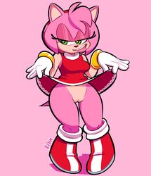 amy rose from sega