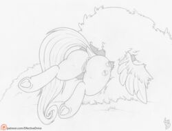 2016 anus ass cutie_mark dfectivedvice dock equine feathered_wings feathers female feral fluttershy_(mlp) friendship_is_magic mammal monochrome my_little_pony outside pegasus pussy simple_background solo underhoof white_background wings