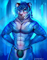 1boy 2016 abs anthro biceps blue_eyes blue_fur blue_hair blue_theme bulge cheetahpaws clothed clothing fangs feline fur hair looking_at_viewer male male_only mammal muscular open_mouth painterly pecs penis simple_background smile solo stripes teeth tiger topless underwear