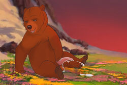 balls bear brother_bear cum dirty.paws disney fellatio feral foot_fetish hi_res kenai male male_only mammal masturbation oral penis sex solo ursid