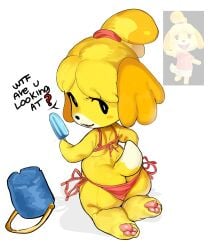 animal_crossing artist_request ass beach beach_wear isabelle_(animal_crossing) pawpads popsicle tagme