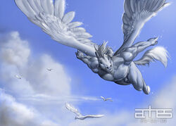 anhes anthro avian balls bird cloud dove equine feathers flaccid flying horse male male_only mammal muscular pegasus penis sky white_feathers wings