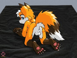 all_fours anthro balls canine fox male mammal nude paws pose shy tagme twotails