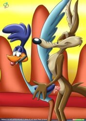 anal anthro anthro_only bbmbbf gay male_only palcomix penis protagonistsub_antagonistdom rear_deliveries road_runner_(looney_tunes) soft_feathers tagme warner_brothers wile_e._coyote