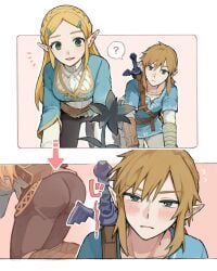 link from breath of the wild