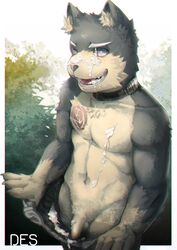 1boy anthro canine clothed clothing collar cum desfrog humanoid_penis male male_only mammal open_mouth penis solo topless uncut