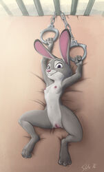 2016 anthro arms_above_head bed bird's-eye_view biting_lip breasts buckteeth clitoris disney erect_nipples female handcuffs high-angle_view judy_hopps lagomorph looking_at_viewer lying mammal navel nipples nude on_back on_bed plump_labia presenting presenting_pussy purple_eyes pussy rabbit shackles slate small_breasts solo spread_legs spreading teeth zootopia