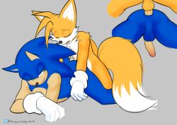 sonic the hedgehog from sega by tkraccoon