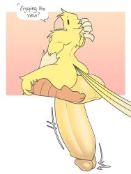 2024 3:4 4_fingers anthro ass avian backsack balls beak big_balls big_penis bird buddy_canary_(buddycanary) buddycanary canary dialogue digital_media_(artwork) english_text erection feathers finch fingers genitals hi_res huge_balls huge_cock humanoid_genitalia humanoid_penis hyper hyper_balls hyper_genitalia hyper_penis looking_at_viewer male motion_lines nude oscine passerine penis presenting rear_view shaded simple_background solo speech_bubble tail tail_feathers talking_to_viewer text yellow_body yellow_feathers