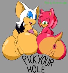 2016 amy_rose anthro anus ass bat big_breasts big_butt breasts duo female hedgehog hi_res huge_breasts huge_butt mammal pussy rouge_the_bat scarecorrode sega sonic_(series) thecon