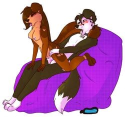 anthro bean_bag bow_kori canine coco_sparkles collar collie duo female furry_only hi_res knot male mammal no_humans on_top penetration penis reverse_cowgirl_position sex singingbirdstudio soft_shading straight vaginal_penetration white_background