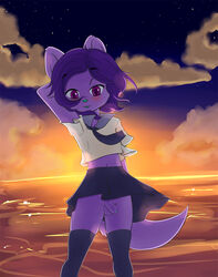 anthro clothed clothing cloud crossdressing detailed_background fur girly green_nose hair hi_res humanoid_penis looking_at_viewer male mammal pate penis portrait purple_eyes purple_fur purple_hair skirt sky solo star three-quarter_portrait trap uncut