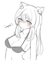 bra cat_ears leopard_1 no_color reta sketch war_thunder