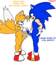 ass balls big_butt canine colored duo fox fur furry_tail habbodude hedgehog male mammal multiple_tails penis sanory sonic_(series) sonic_the_hedgehog standing tail tails tails_the_fox text video_games yaoi