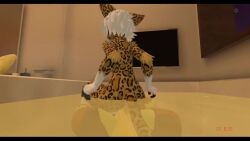 2boys ass balls bathroom big_balls big_penis erection femboy furry maplekitty maplekitty_(character) penetration penis riding riding_penis sitting tagme tail video vrchat water white_hair