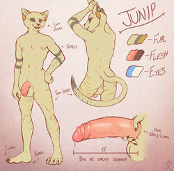 1boy aixarata anthro ataraxia balls erection feline flaccid humanoid_penis junip male male_only mammal model_sheet partially_retracted_foreskin penis retracted_foreskin sandcat solo uncut