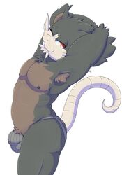 1boy 2016 alolan_raticate anthro anthrofied arched_back armpit_hair arms_behind_head arms_up black_fur buckteeth bulge clothed clothing furry hi_res high-angle_view jockstrap looking_at_viewer male male_only mammal nintendo nipples one_eye_closed otto0ttsy pecs pinup pokemon pokemon_sm pose pubes raised_arm raticate red_eyes rodent solo standing tail teeth topless underwear video_games whiskers white_background wink