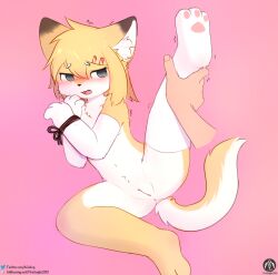 absurd_res anthro arms_tied blush bound domestic_cat felid feline felis female genitals held_by_leg hi_res kemono mammal paws pussy raised_leg senz shaking solo tail trembling