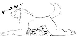 all_fours anal anthro canine doggy_style duo feline from_behind_position hair ifus male mammal nude penetration sex size_difference stomach_bulge surprised tiger wolf yaoi