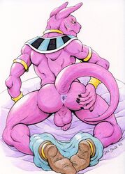 beerus from dragon ball by dudebulge
