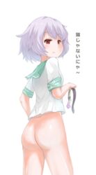 artist_name ass back bell bell_collar blurry blush bottomless collar disco_brando female from_behind highres jitome kantai_collection looking_at_viewer looking_back purple_hair red_eyes short_hair solo tama_(kantai_collection) thighs