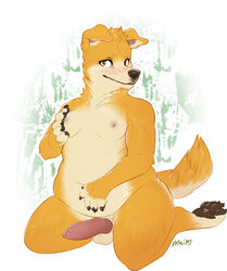 animal_genitalia animal_penis anthro balls blush canine canine_penis dingo erection kneeling looking_at_viewer maim male male_only mammal moobs navel nude overweight pawpads penis sheath signature solo