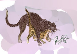 all_fours barbed_penis cheetah egyptian_mau feline female hotwert mafti_(queensmate) male mammal markings penis queensmate revad sex size_play sketch spot straight whiskers