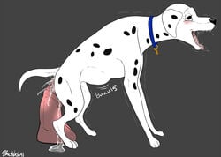 101_dalmatians anal backlash91 canine collar colored dalmatian dildo dildo_sitting disney dog equine female female_only feral feral_only fur horse lube mammal penetration perdita sex_toy solo tag tag_collar