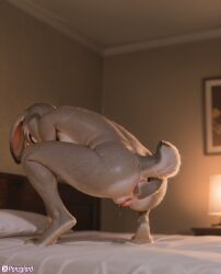 1girls ai_generated anal anal_fisting ass breasts buttplug female female_only fisting fisting_ass fur furry high_resolution highres hires judy_hopps nipples panzglard pussy pussy_juice_drip small_breasts zootopia zootopia_2