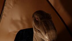 16:9 2025 3d_(artwork) 3d_animation albino animal_genitalia animated assertive_female assertive_feral big_dom_small_sub biped bipedal_feral bodily_fluids camping claws cloaca cloaca_juice cloacal cloacal_penetration consistent_pov cowgirl_position cum cum_in_cloaca cum_inside dezzak digital_media_(artwork) dinosaur dominant dominant_female dominant_feral dromaeosaurid duo erection eye_contact faceless_character faceless_human faceless_male feet fellatio female female_feral female_on_top female_penetrated feral feral_dominating_human feral_dominating_male feral_focus feral_on_top feral_penetrated first_person_view from_front_position genital_fluids genitals hi_res huge_filesize human human_on_feral human_penetrating human_penetrating_female human_penetrating_feral human_pov in_tent interspecies larger_female larger_feral larger_penetrated licking licking_lips long_playtime looking_at_another looking_at_viewer looking_pleasured male male/female male_human male_on_bottom male_on_feral male_penetrating male_penetrating_female male_penetrating_feral male_pov mammal no_sound nude nuzzling on_bottom on_top oral oral_penetration penetrating_pov penetration penile penile_penetration penis penis_in_cloaca penis_lick prehistoric_species pupils red_eyes reptile saliva saurischian scalie seductive sex size_difference slit_pupils smaller_human smaller_male submissive submissive_human submissive_male submissive_pov tagme talons teeth tent theropod toes tongue tongue_out velociraptor video white_body widescreen zoophilia