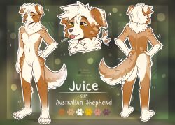 andromorph anthro ass australian_shepherd belly big_tail blep canid canine canis cheek_tuft claws domestic_dog eyebrows facial_tuft floppy_ears fluffy fluffy_chest fluffy_tail front_view fur genitals grey_claws hair herding_dog hi_res intersex lop_ears mammal markings model_sheet neck_tuft nude orange_body orange_fur pastoral_dog pink_inner_ear pink_vulva pubes purple_nose raised_tail rear_view sheepdog shtein smile solo standing tail tan_body tan_fur tongue tongue_out tuft vulva white_belly white_body white_fur white_hair yellow_eyes