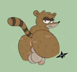 rigby (regular show) from regular show