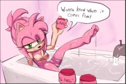 amy rose from sega