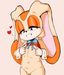 cream the rabbit from sega by blaski
