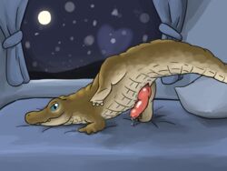 alligator ass bed curtains embermint feral heart hi_res inside looking_at_viewer male moon night on_bed penis pillow precum presenting presenting_hindquarters raised_leg reptile scalie sky solo suggestive teeth window