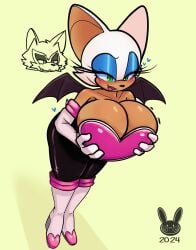 anthro anthro_only bodysuit breasts horny_female looking_back_at_viewer neckline original_character reiki4arts rouge_the_bat seductive_look sonic_(series)