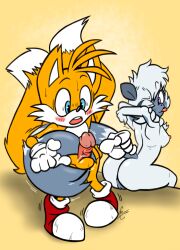 tails the fox from sega by bobbycheez