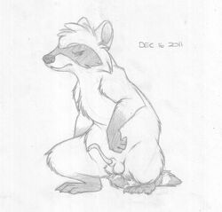 2011 anatomically_correct animal_genitalia animal_penis annoyed anus balls erection feral glare greyscale looking_at_viewer male male_only mammal mizzyam monochrome on_haunches pencil_(artwork) penis quadruped raccoon raccoon_penis sheath solo traditional_media_(artwork) vice_the_raccoon